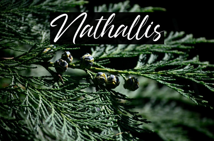 Nathallis Example 2
