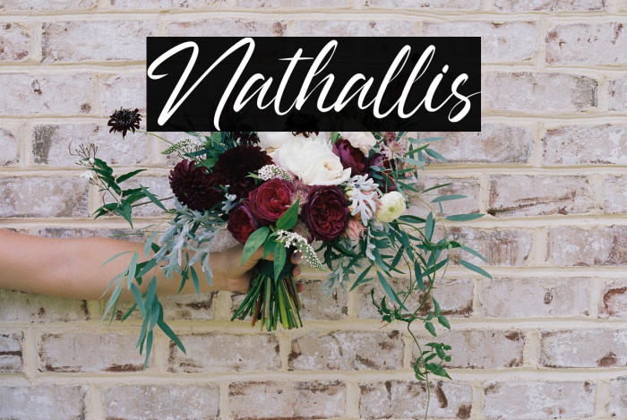 Nathallis Example 3