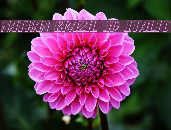 Nathan Brazil 3D Italic Font examples