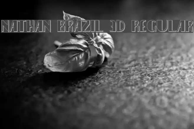 Nathan Brazil 3D Regular Font examples