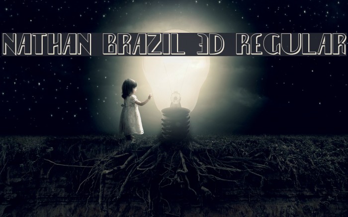 Nathan Brazil 3D Regular Example 3