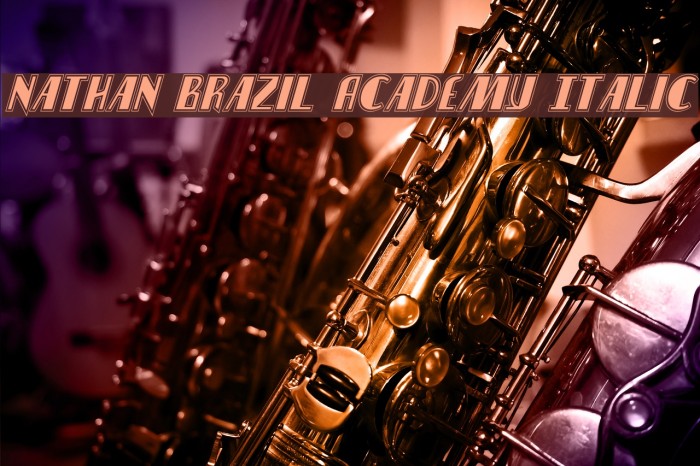 Nathan Brazil Academy Italic Example 1