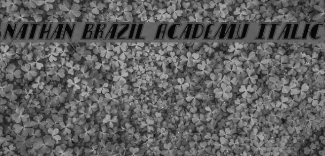Nathan Brazil Academy Italic Font examples