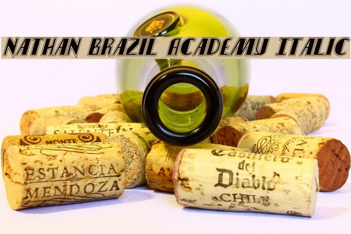 Nathan Brazil Academy Italic Example 3