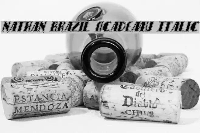 Nathan Brazil Academy Italic Font examples