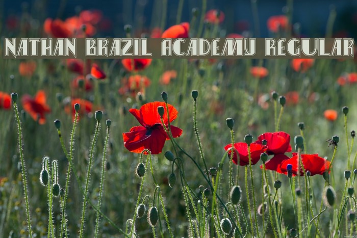 Nathan Brazil Academy Regular Font examples