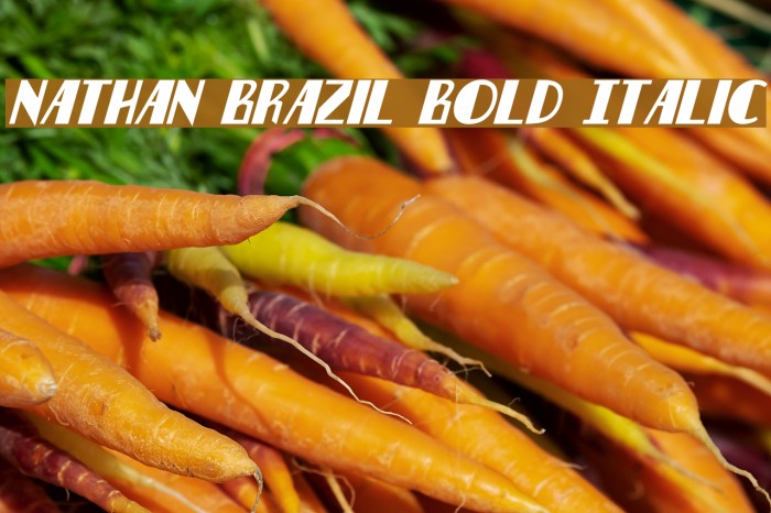 Nathan Brazil Bold Italic Font examples
