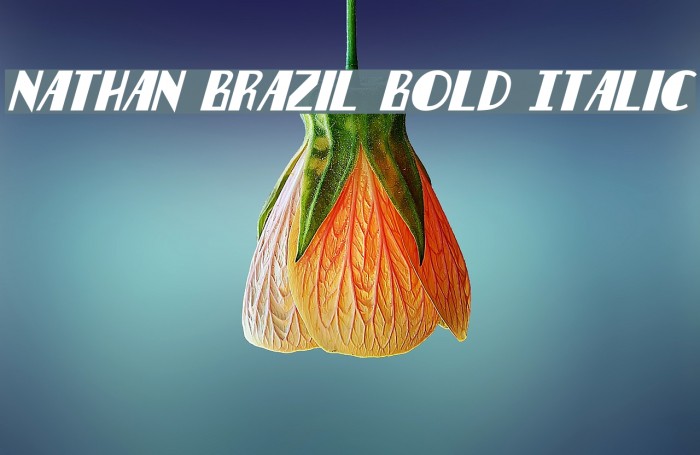 Nathan Brazil Bold Italic Font examples