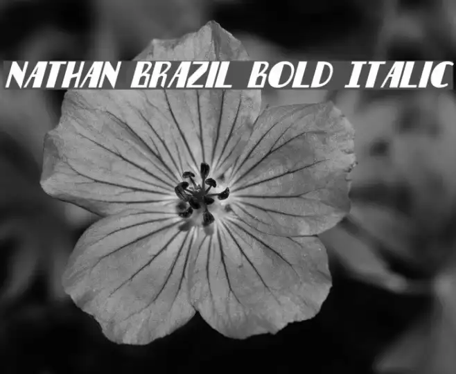Nathan Brazil Bold Italic Example 3
