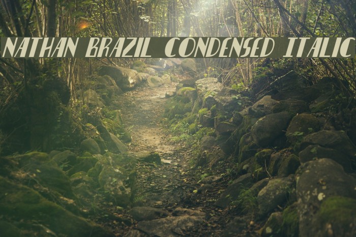 Nathan Brazil Condensed Italic Example 2