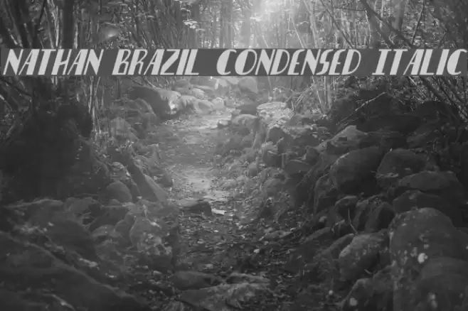 Nathan Brazil Condensed Italic Font examples