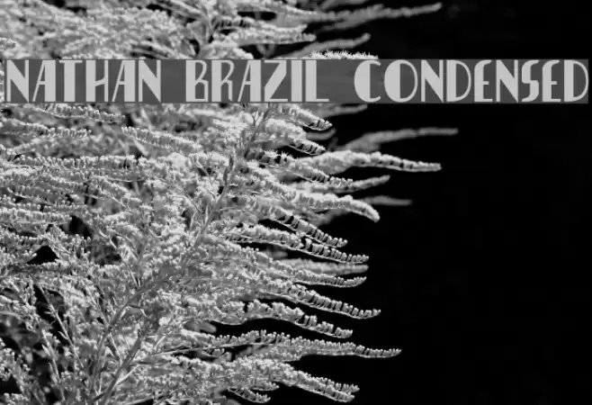 Nathan Brazil Condensed Font examples