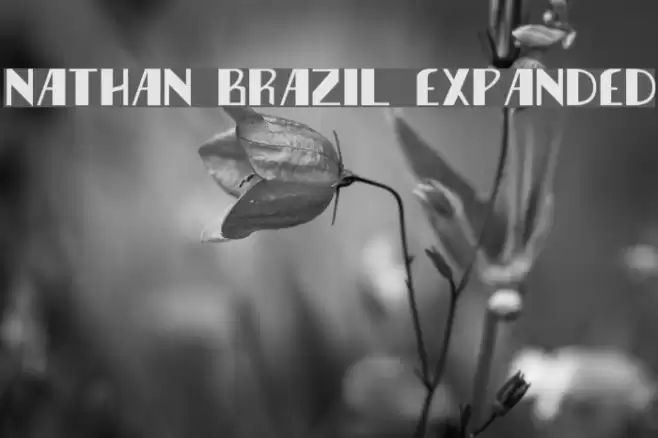 Nathan Brazil Expanded Font examples
