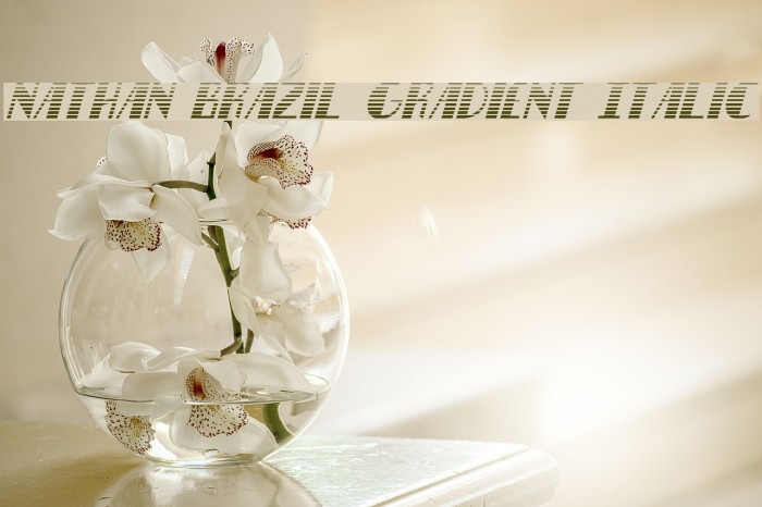 Nathan Brazil Gradient Italic Font examples