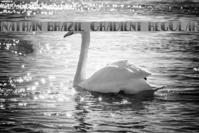 Nathan Brazil Gradient Regular Example 2