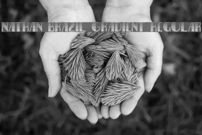 Nathan Brazil Gradient Regular Example 3