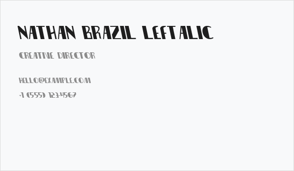Nathan Brazil Leftalic Business Card