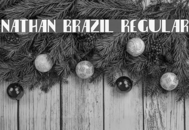 Nathan Brazil Regular Example 2
