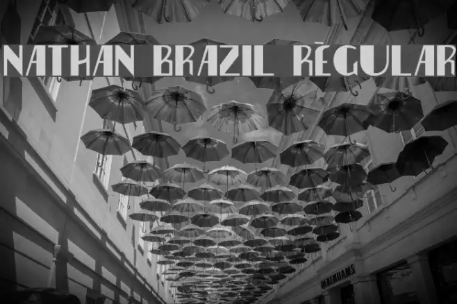 Nathan Brazil Regular Example 3