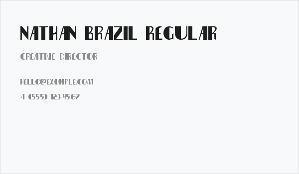 Nathan Brazil Regular Business Card