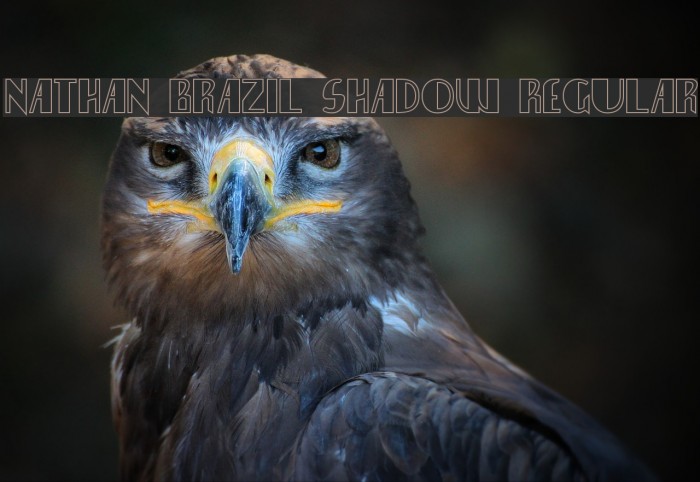 Nathan Brazil Shadow Regular Example 1