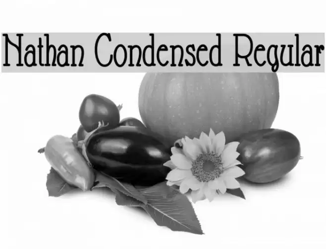 Nathan Condensed Regular फ़ॉन्ट examples