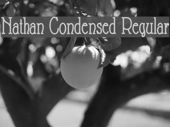 Nathan Condensed Regular फ़ॉन्ट examples
