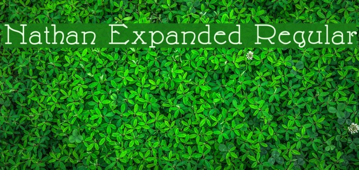 Nathan Expanded Regular Font examples
