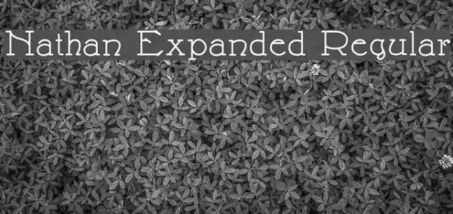 Nathan Expanded Regular Example 2