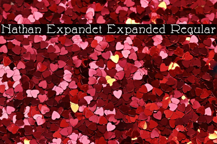 Nathan Expandet Expanded Regular Font examples