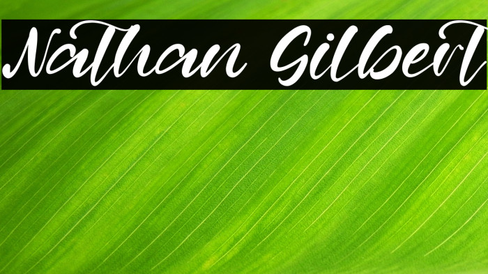 Nathan Gilbert Example 1