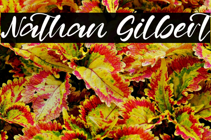 Nathan Gilbert Example 3