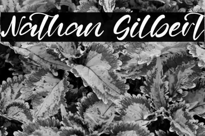 Nathan Gilbert Font examples