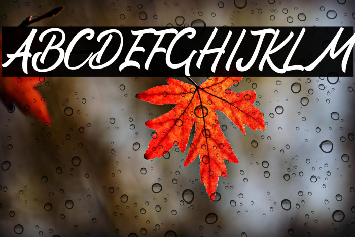 Nathan Script Example 2