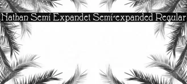 Nathan Semi Expandet Semi-expanded Regular Font examples