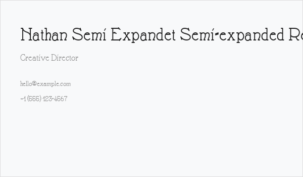 Nathan Semi Expandet Semi-expanded Regular Business Card
