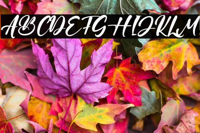 NathanGilbert Example 3