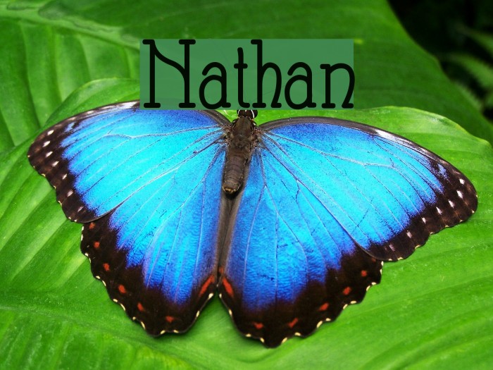 Nathan Font examples