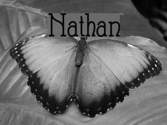 Nathan Шрифта examples