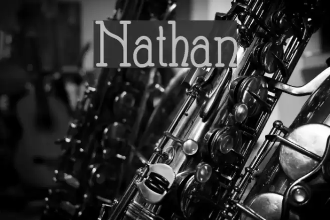 Nathan Шрифта examples