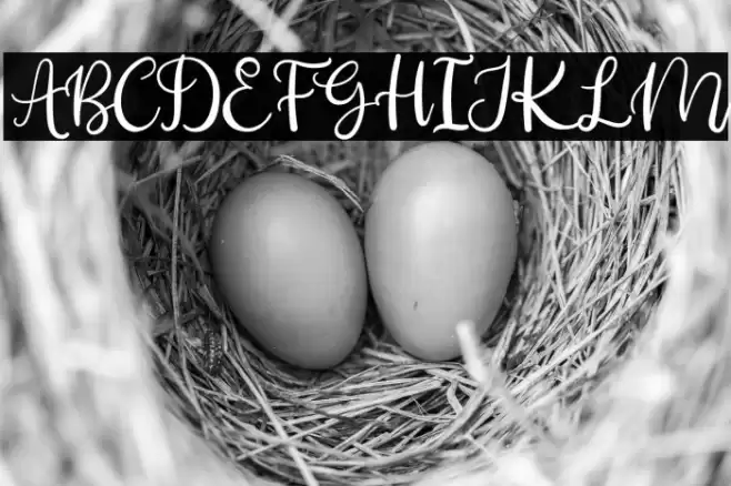 Nathiya Font examples