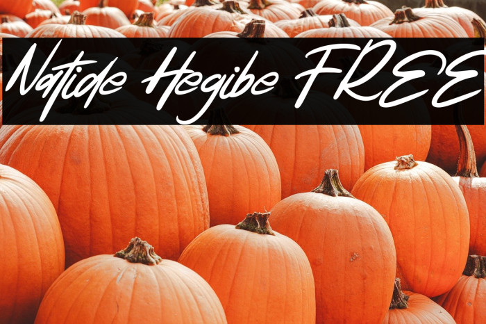 Natide Hegibe FREE Example 2