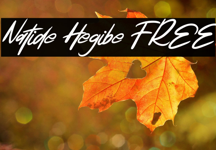 Natide Hegibe FREE Example 3