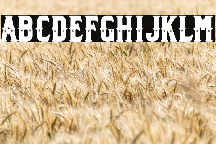 National Biker Co. Example 1