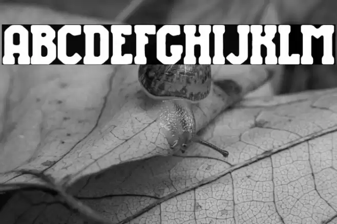 National College Font examples