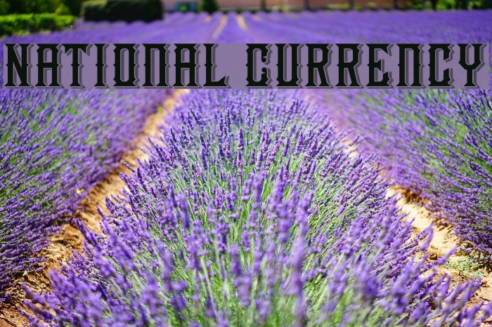 National Currency Font examples