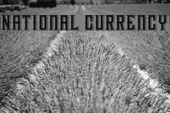 National Currency Font examples