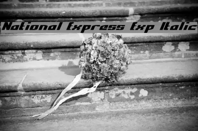National Express Exp Italic Font examples
