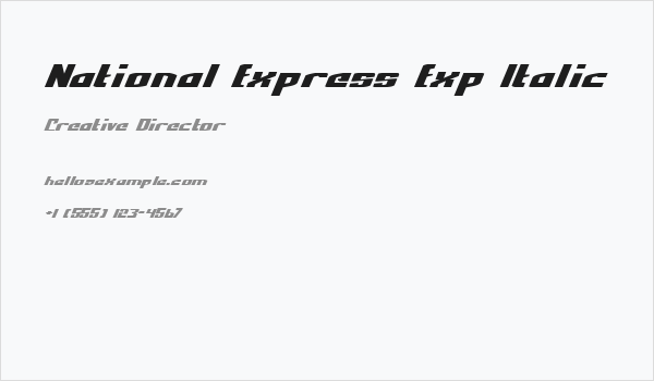 National Express Exp Italic Business Card