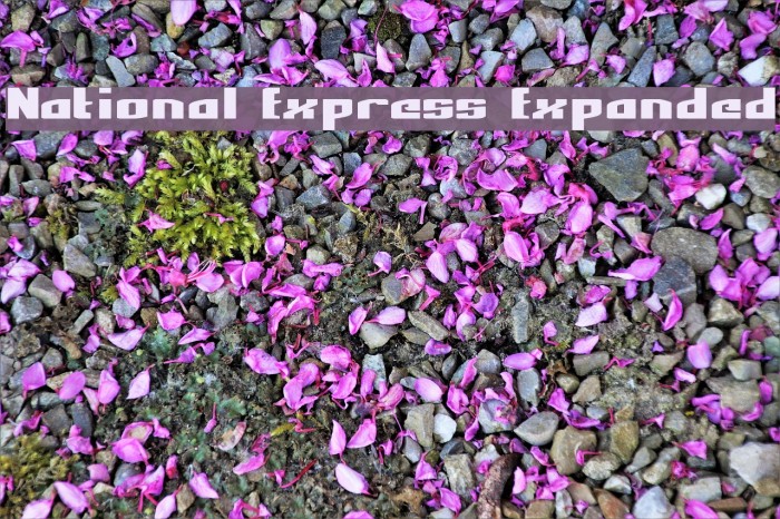 National Express Expanded Font examples